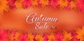 Special offer autumn. and sales banner Design. Royalty Free Stock Photo
