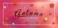 Special offer autumn. and sales banner Design Royalty Free Stock Photo