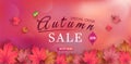 Special offer autumn. and sales banner Design. with colorful seasonal fall leaves Royalty Free Stock Photo