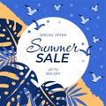 Special offer, summer sale. Colourful and vibrant tropical border design with flowers, palm leaves and birds. Vector Royalty Free Stock Photo