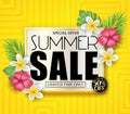 Special Offer Summer Sale for Limited Time Only Promotional Vector Illustration Design