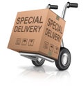Special package delivery cardboard box Royalty Free Stock Photo