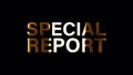 SPECIAL REPORT word gold reflect loop animation isolate