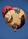 Special shapes hot air balloon