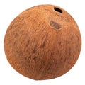 Special single hole of coconut shell difference ot Royalty Free Stock Photo