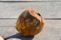special single hole of coconut shell difference Royalty Free Stock Photo