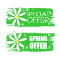 Special and spring offer with flowers signs, green drawn labels