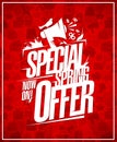 Special spring offer vector poster design