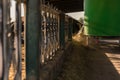 Special truck pouring feed for cows in a cowshed at a dairy farm.