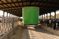 Special truck pouring piles of feed for dairy cows in a cowshed at a farm.