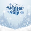 Special Winter Sale, Flat winter landscape. Snowy backgrounds