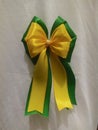 special yellow-green ribbon Cake hampers box, you can make a display on the tree too