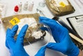 Specialised police check drugs on petri dish in crime lab