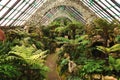 Specialist Fernery Royalty Free Stock Photo