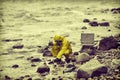 Specialist taking sample of water to container on rocky shore