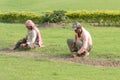 Specialized Gardeners at work in residential back yard garden lawn foundation busy and active growing cultivating plants and