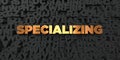 Specializing - Gold text on black background - 3D rendered royalty free stock picture