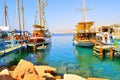 Species in Eilat Royalty Free Stock Photo