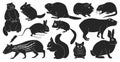 Species of rodents vector black set icon. Isolated black set icon gnawer.Vector illustration species of rodents on white Royalty Free Stock Photo