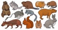 Species of rodents vector color set icon. Isolated color set icon gnawer.Vector illustration species of rodents on white