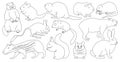 Species of rodents vector outline set icon. Isolated outline set icon gnawer.Vector illustration species of rodents on white