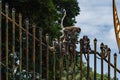 Gombak, Malaysia - 20 June, 2019: long-tailed macaques playing on a metal fence beside the colorful stairs of Batu Caves