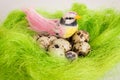 Speckled bird sitting in a nest basket with quail eggs