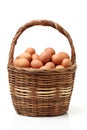 Speckled brown chicken egg Royalty Free Stock Photo