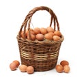 Speckled brown chicken egg Royalty Free Stock Photo