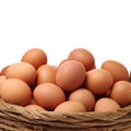 Speckled brown chicken egg Royalty Free Stock Photo