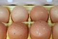Speckled brown eggs
