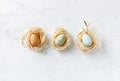 Speckled Easter Eggs in nests and in a row flat lay arrangement Royalty Free Stock Photo