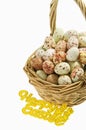 Speckled eggs in basket with Happy Easter sign on white background Royalty Free Stock Photo