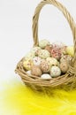 Speckled eggs in basket on white background Royalty Free Stock Photo