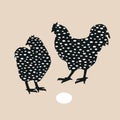 Speckled hen and cock couple, dappled chicken with funny hand drawn texture isolated on grey. Easter design element Royalty Free Stock Photo