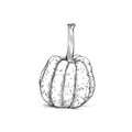Speckled Ornamental Pumpkin Royalty Free Stock Photo
