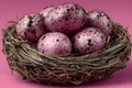Speckled Pink Eggs in Rustic Nest on Pink Background for Easter Decor and Spring Design Generative AI Royalty Free Stock Photo