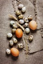 Speckled quail eggs and chicken eggs Royalty Free Stock Photo