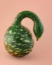 Speckled Swan gourd squash or Korba Gourd close up isolated on light pink-beige background.