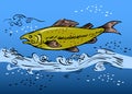 Speckled trout fish underwater