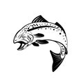 Speckled Trout Spotted Seatrout or Cynoscion Nebulosus Jumping Up Retro Black and White Royalty Free Stock Photo