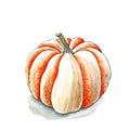 A speckled white Pumpkin