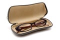 Spectacle Case Royalty Free Stock Photo