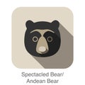 Spectacled bear face flat icon design. Animal icons series