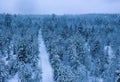 Spectacular Aerial photo Of Snow Covered forest above small road in fresh Winter Landscape In Northern Sweden, Umea. Young pine Royalty Free Stock Photo