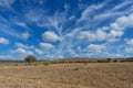 Spectacular African savannah landscape with epic sky