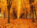 Spectacular Autumn Colors in Nature