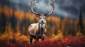 Spectacular Autumn Forest: A Majestic Deer In Hyper-realistic Portraiture