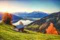 Spectacular autumn view of lake meadows trees and mountains in Sell Am See