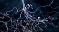Conceptual image with neuron cell in abstract space Royalty Free Stock Photo